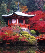 feng shui