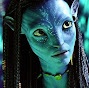 Avatar du membre