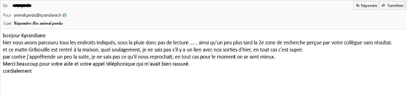 voyante retrouver un chat perdu