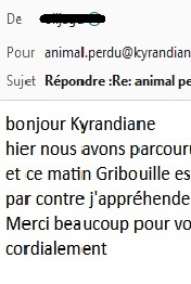 voyance chat perdu miniature