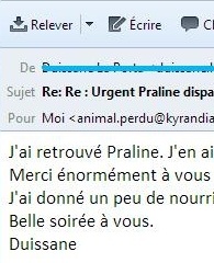 medium chat perdu miniature