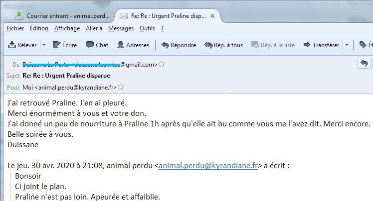 medium chat perdu