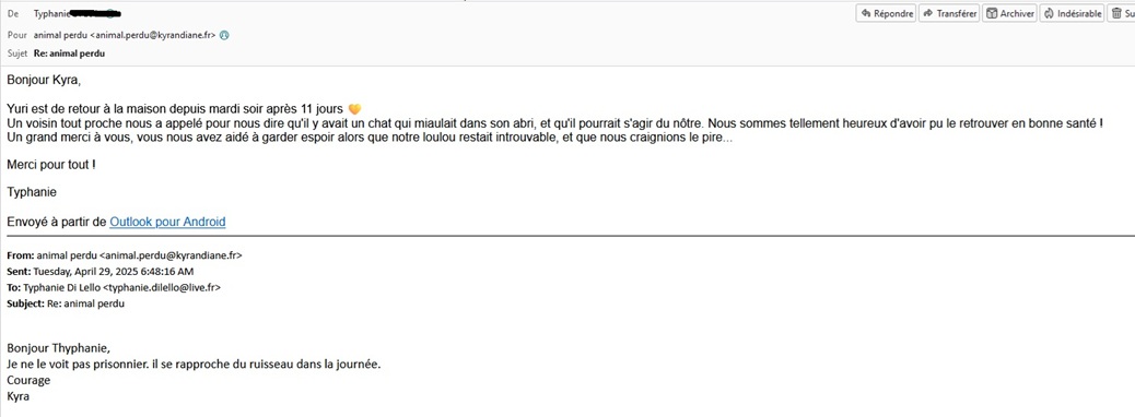 voyante chat perdu