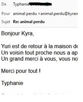 voyante chat perdu miniature